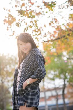春花焰电视剧免费