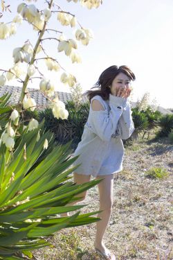 小马宝莉全集