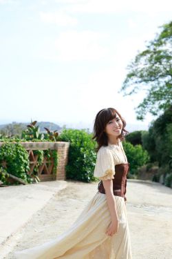 les小说