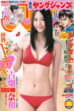 倚天屠龙记九阳神功