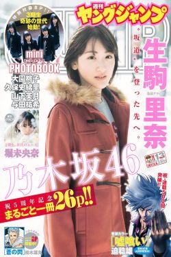 上门女婿叶辰
